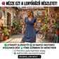 【S-2XL】👗Női rövid ujjú ruha V-nyakú nyakkivágással